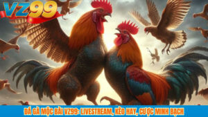 Đá gà Mộc Bài VZ99: Livestream, kèo hay, cược minh bạch